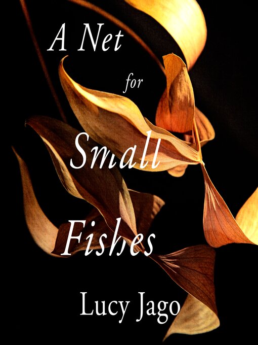 Title details for A Net for Small Fishes by Lucy Jago - Available